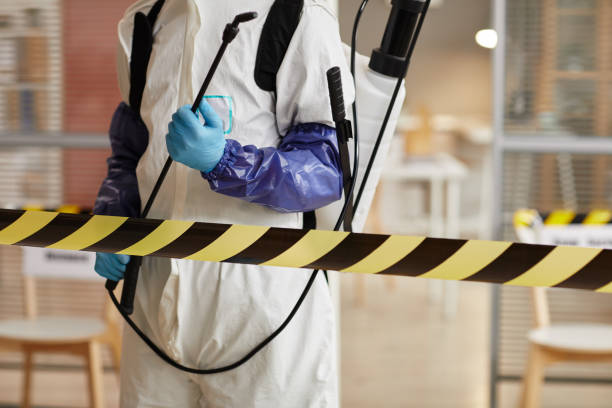 Professional Hoarding Cleanup technician working in Skidmore, TX